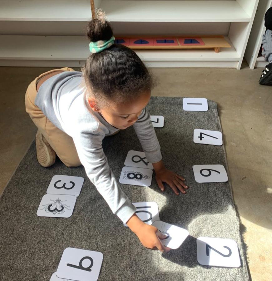 Girl laying out Montessori number cards
