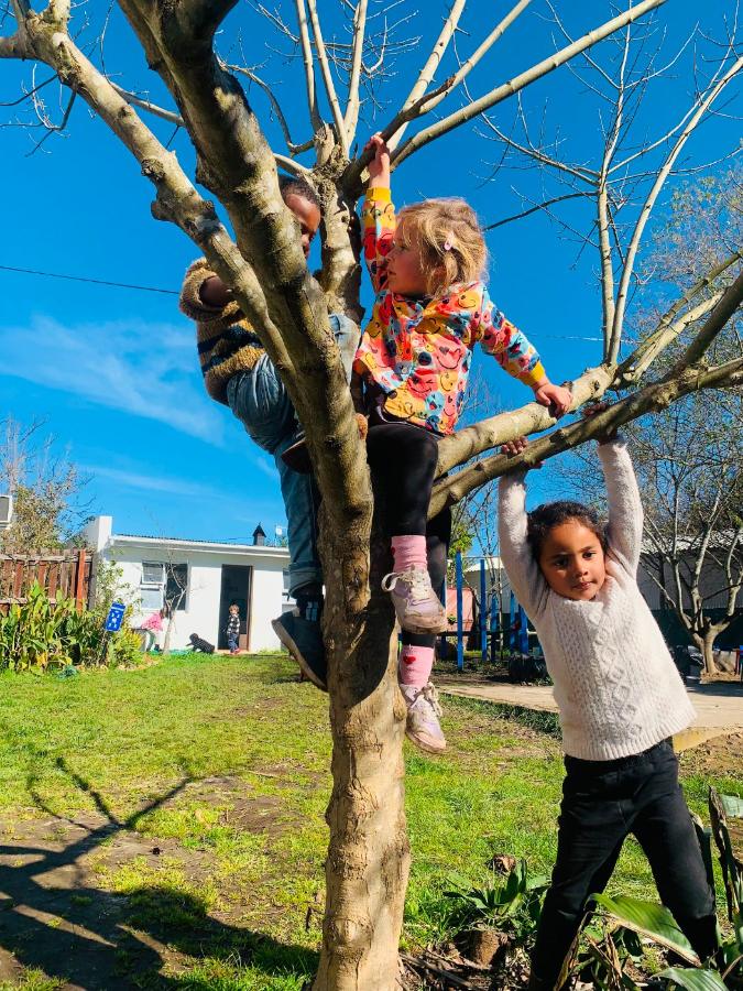 Children climbing a tree